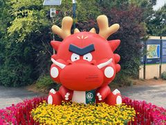 -日照海滨国家森林公园
