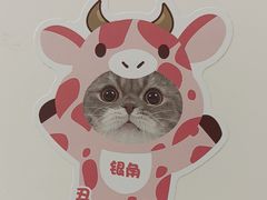 -美联众合爱康动物医院•复杂内科•肿瘤科•牙科•腔镜诊疗中心