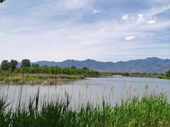 -野鸭湖国家湿地公园