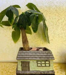 -CICI纤美·科技减肥美容