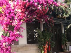 -百花洲