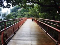 -少华山国家森林公园