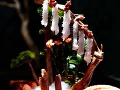 -蟹犇前•帝王蟹雪蟹(陆家嘴店)