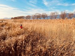 -野鸭湖国家湿地公园