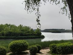 -丁香湖公园