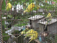 景观位-绿色时代大酒店