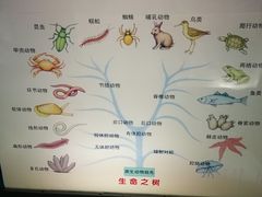 -上海昆虫博物馆