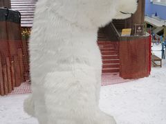 -广州热雪奇迹