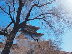 -齐齐哈尔市博物馆