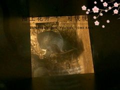 -企鹅岛