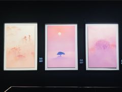 -罗红摄影艺术馆