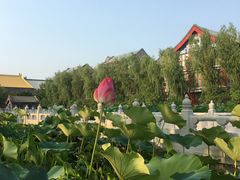 -大明幻境第一城