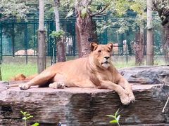 -秦皇岛野生动物园