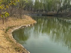 -翠湖国家城市湿地公园