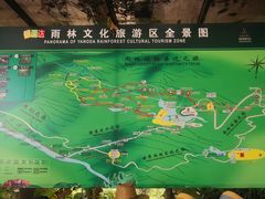 -呀诺达热带雨林