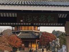 -红梅公园