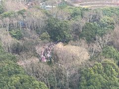 -新航道雅思托福·留学·考研培训(人民广场校区)