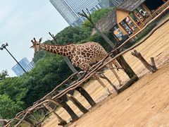 -杭州野生动物世界