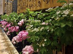 -北京四季酒店