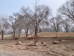 -北京野生动物园