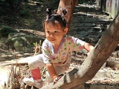 -铁山坪森林公园