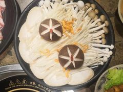 菌类拼盘-小龙坎老火锅(西安路店)
