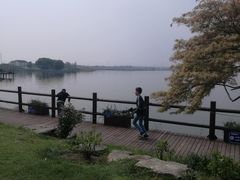 -鹅湖玫瑰文化园