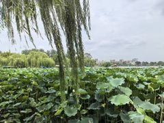 -山东政协大厦维景大酒店