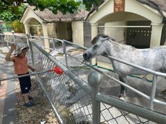 -三亚亚龙湾天域度假酒店