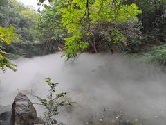 -北京西山国家森林公园