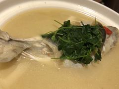 -肆月河豚·新淮扬(金融街店)