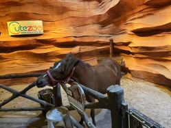 -酷嗒动物文化乐园(cutezoo西溪乐天城店)