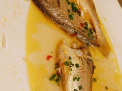 -宝轩渔府·老字号海鲜·正宗津菜(水上店)