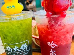 -楠火锅(哈尔滨金爵万象店)