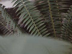 -维乐口腔医院(星海湾分院)