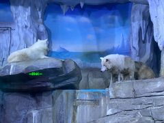 -多彩贵州城极地海洋世界