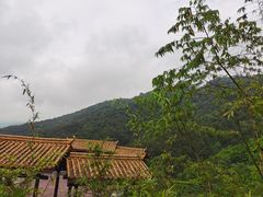 -铁山坪森林公园