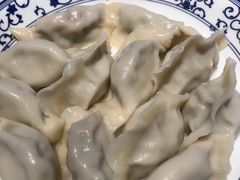 茴香猪肉水饺-东方饺子王(文化东路店)