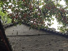 -西安大兴善寺
