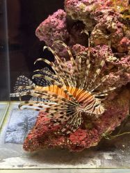 -Zoolung Zoolung动物主题公园(海信广场店)