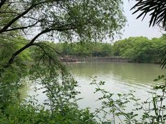 -西溪国家湿地公园