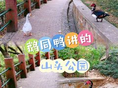 -北岭山森林公园