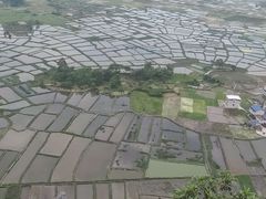 -会仙湿地