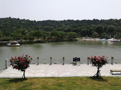 -龙寺生态园