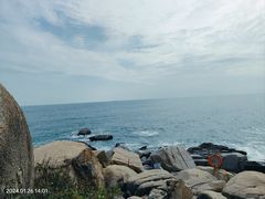 -广东惠东海龟国家级自然保护区