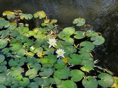 -中国海洋大学（崂山校区）-图书馆