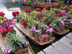 -潮喜竹溪荔湖酒家(荔枝湾店)