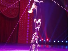 -珠海横琴长隆《卡卡虎奇遇记》