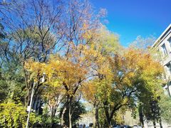 -北京理工大学(中关村校区)