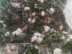 -C'è Amore爱意(亿合城店)